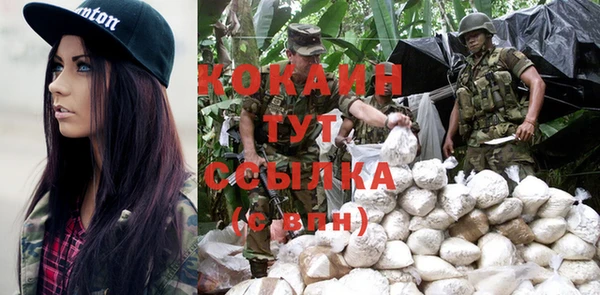 стаф Абаза