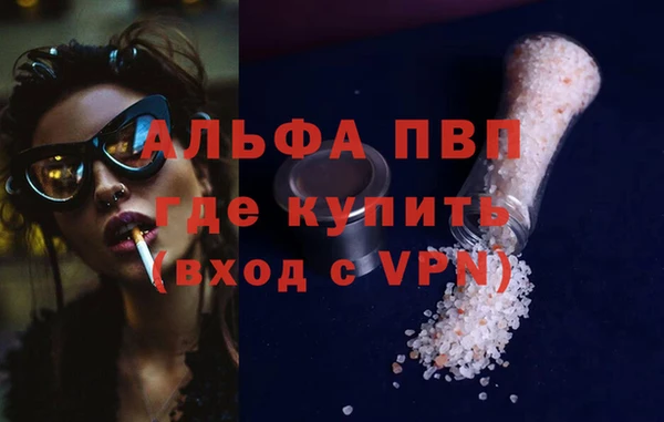 стаф Абаза