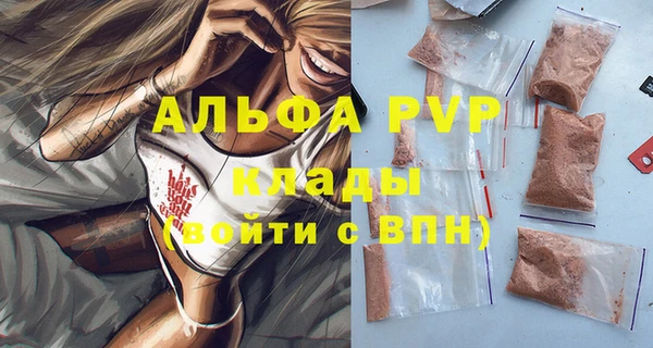 стаф Абаза