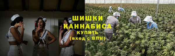 стаф Абаза